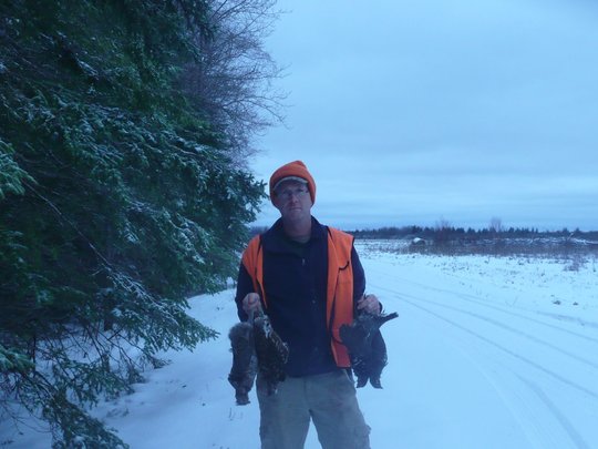 Ruffed Grouse