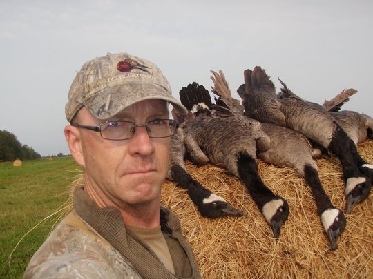 Greater Canada Goose
