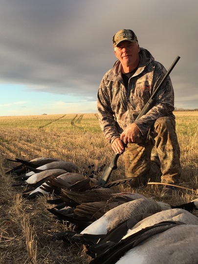 Lesser Canada Goose