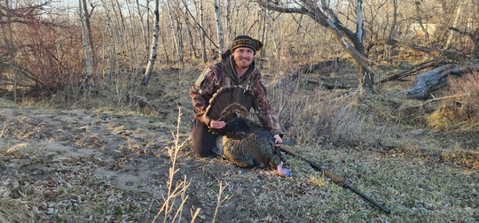 Wild Turkey
