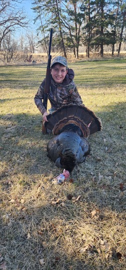 Wild Turkey
