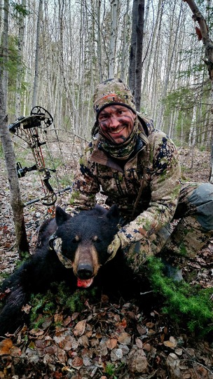 Boar Black Bear