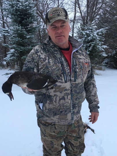 Lesser Scaup Duck