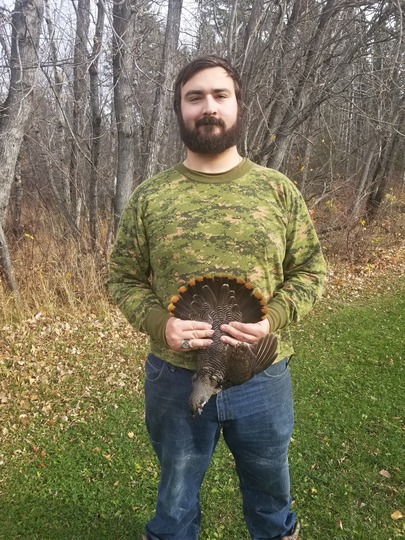 Spruce Grouse