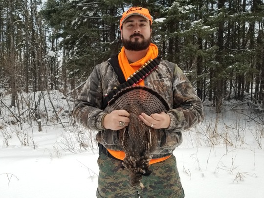 Ruffed Grouse