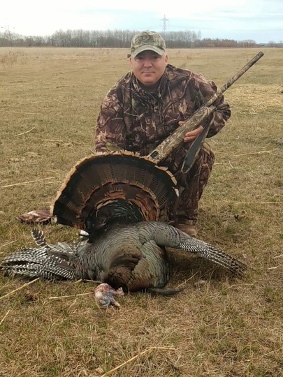 Sharptail Grouse