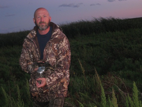 Blue Winged Teal Duck