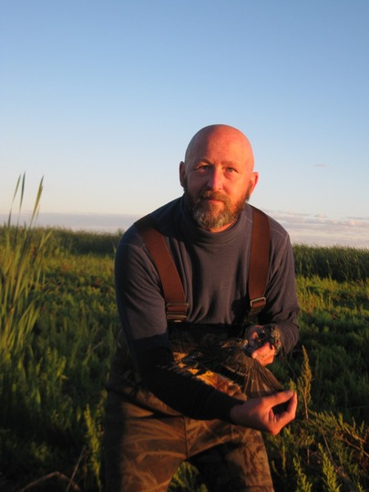 Green Winged Teal Duck