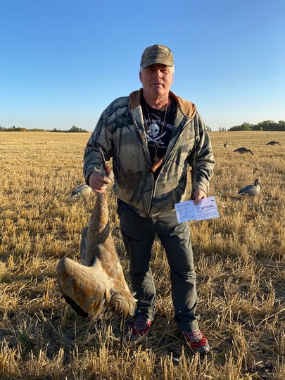 Sandhill Crane