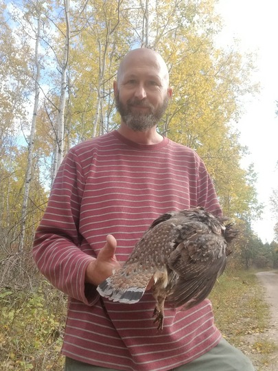 Ruffed Grouse