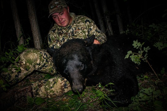 Boar Black Bear