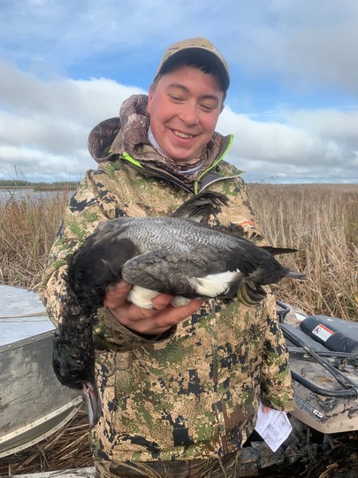 Lesser Scaup Duck