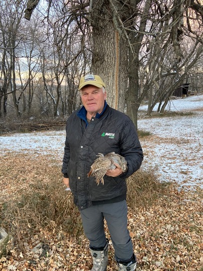 Gray (Hungarian) Partridge