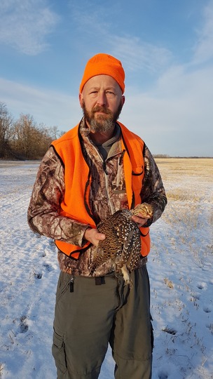 Sharptail Grouse