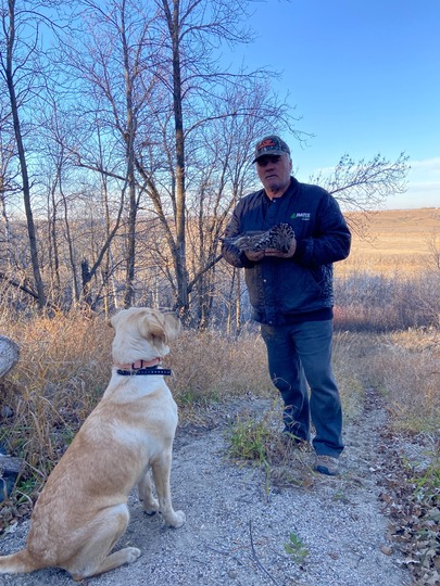 Ruffed Grouse