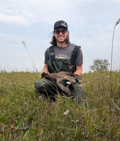 Gadwall Duck