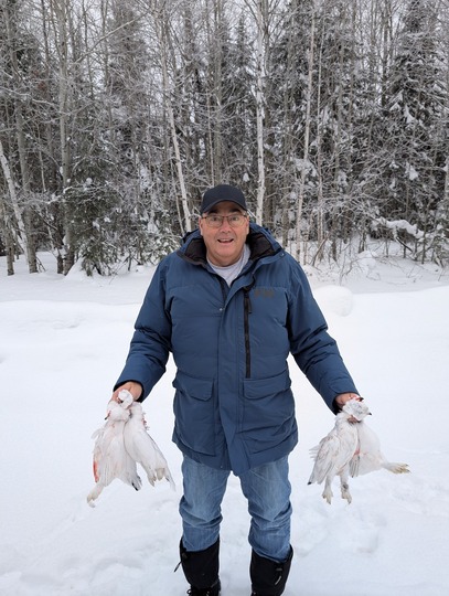 Ptarmigan