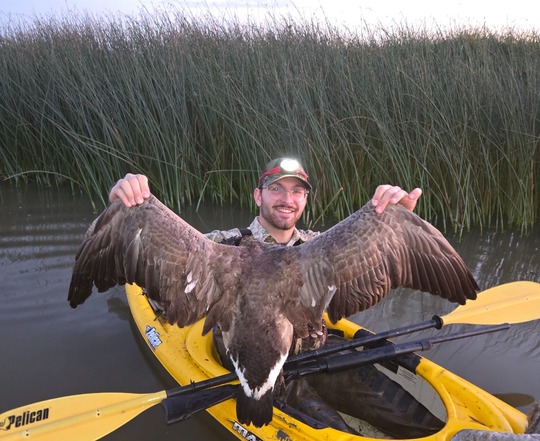 Greater Canada Goose