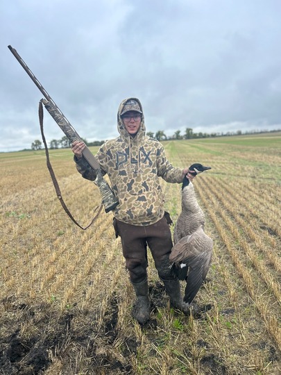 Greater Canada Goose