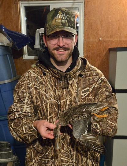 Shoveler Duck