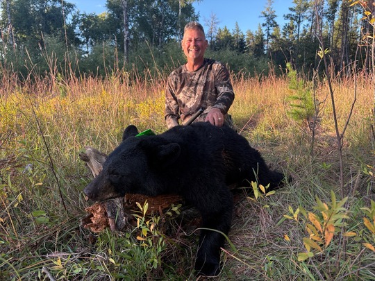 Boar Black Bear